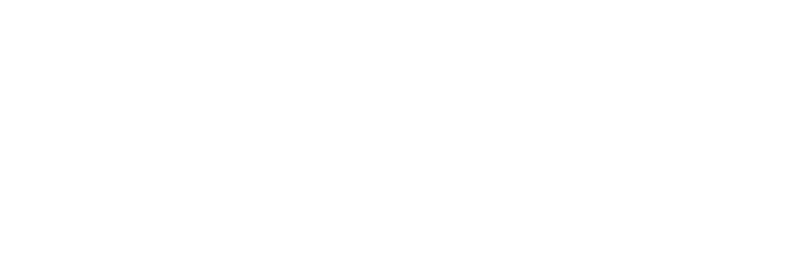 Aluminum Anodizers Council