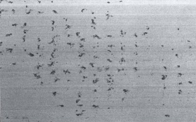 Paper Corrosion
